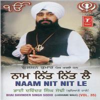 Naam Nit Nit Le (Vyakhya Sahit) Bhai Davinder Singh Sodhi-Ludhiana Wale Song Download Mp3