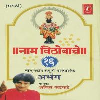 Gaau Nachu Vitho Tujha Karu Anuvaad, Bheti Lagi Pandharinatha...Amhi Jyache Daas, Dev Bhawacha Bhukela Ajeet Kadkade Song Download Mp3