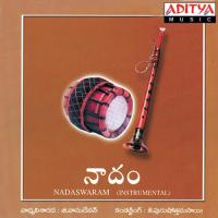 Paridana Michite  Song Download Mp3