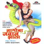 Nagoba Jawan Jhala Shrikant Narayan Song Download Mp3