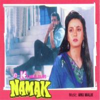 Kismat Roothi Duniya Chhooti Sadhana Sargam,Nitin Mukesh Song Download Mp3