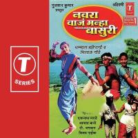 Navra Vaaj Manha Basuree Eknath Marathe,Bhagwan Vijay Nayik Song Download Mp3