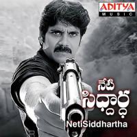 Neeve Kada Nasweetu Pigaru Kavita Krishnamurthy,S.P. Balasubrahmanyam Song Download Mp3