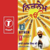 Jap Ji Saheb Jaap Saheb Tav Prasad Savaiye Bhai Harbans Singh Ji Song Download Mp3