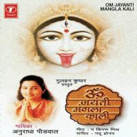 Maateshrwari Bhuvaneshwari Anuradha Paudwal Song Download Mp3