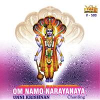 Om Namo Narayananaya Unni Krishnan Song Download Mp3