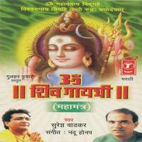 Om Shiv Gayatri - Mahamantra Suresh Wadkar Song Download Mp3