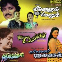 Alli Poova K. S. Chithra,Malaysia Vasudevan Song Download Mp3