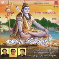 Himasailapathi Parupalli Sriranganath Song Download Mp3