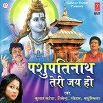 Hey Shiv Shankar Bholedani Soham Song Download Mp3