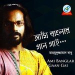 Somoyer Dirgho Pothe Mahmuduzzaman Babu Song Download Mp3