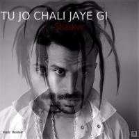 Tu Jo Chali Jaye Gi Shaskvir Song Download Mp3