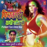 Aapan Aapan Mehar Samhara Pankaj Pujari Song Download Mp3