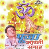 Om Jai Yamuna Mata Anup Jalota Song Download Mp3