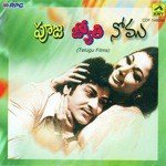 Andhari Deivam Neevayya P. Susheela Song Download Mp3