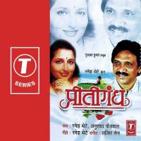 Chander Laajuni Gaila Anuradha Paudwal,Ramesh Thete Song Download Mp3