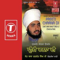 Preeti Charna Di Sant Baba Ranjit Singh Ji-Dhadrian Wale Song Download Mp3