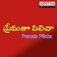 Potondi Potondi Krishna Raj Song Download Mp3