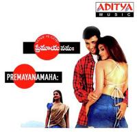 Teligintloni Mallikarjun,Sudha Ragunathan Song Download Mp3