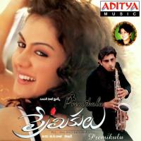 Lavvera Joru Tippu,Naveen Madhav,Saajan Madhav Song Download Mp3