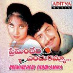 Manasukoila Pata Sujatha Mohan,Surendar Song Download Mp3