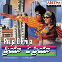 Chitapata Chinukula Vana K. S. Chithra,S.P. Balasubrahmanyam Song Download Mp3