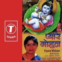 Tere Naina De Pyaliyan Chon Alka Goyal Song Download Mp3