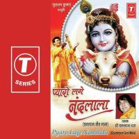 Vandana Ghanshyam Das Song Download Mp3