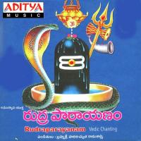 Rudram Hari Achutharama Sastry Song Download Mp3