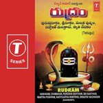 Rudram,Namakam,Chamakam J. Purushothama Sai Song Download Mp3