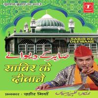 Tere Deewane Zaheer Miyan Song Download Mp3