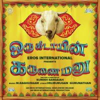 Kolaisindhu Hello Kanthasamy Song Download Mp3