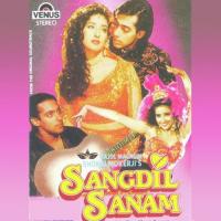 Sanam Sangdil Sanam Kavita Krishnamurthy,Amit Kumar Song Download Mp3