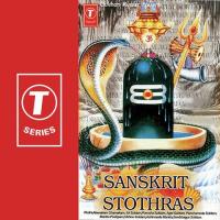 Rudra,Namakam Chamakam,Sri Suktam,Purusha Sukta Varadaraja Thantreegalu Song Download Mp3