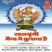 Jai Ho Maa Saptsringi Sarvesh Kumar,Shailendra Bharti,Chandrashekhar Gadgil,Priya Bhattacharya,Shivani Nigam,Soham,Lalita Song Download Mp3