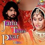 Janu Chhel Chhabili Re Yuvraj Mewari Song Download Mp3