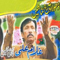 Main Deewani Sohney Yaar Di Ghulam Ali Song Download Mp3