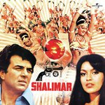 Hum Bewafa Hargiz Na Thay Kishore Kumar Song Download Mp3