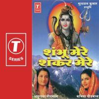 Shambhu Mere Shankar Mere Anuradha Paudwal,Kavita Paudwal Song Download Mp3