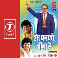 Jai Bhimwale Hathon Mein Anand Shinde Song Download Mp3