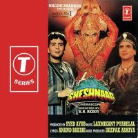 Tera Haath Na Chhodungi Alka Yagnik,Anand Bakshi Song Download Mp3