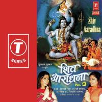 Shiv Naam Simar Payare Tulsi Kumar Song Download Mp3