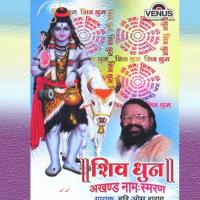 Om Namah Shivay - B Hariom Sharan Song Download Mp3