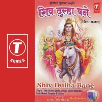 Shiv Teri Yah Babriyan Bela,Suresh Song Download Mp3