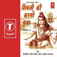 Bholenath Tirpurari Ye Naiya Paar Karo Debashish Dasgupta Song Download Mp3