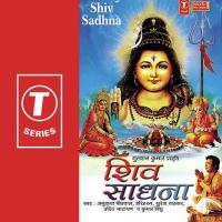 Shiv Aa Jao Suresh Wadkar Song Download Mp3