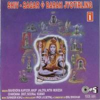 Lingayat Ban Bhajan Karo  Song Download Mp3