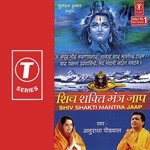 Om Karpur Gauram Karunavtaram,Sansar Sarum Anuradha Paudwal Song Download Mp3