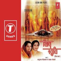 Hey Shivshankar Bhole Baba Asha Bhosle,Anuradha Paudwal Song Download Mp3