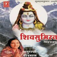 Shiv Saptak Anuradha Paudwal Song Download Mp3